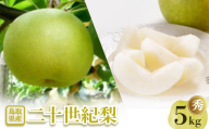 二十世紀梨 秀5kg【1593390】