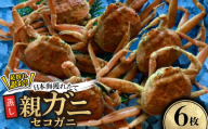 ＜先行予約＞＜蒸し＞訳あり足折れ日本海産親ガニ(セコガニ)　6枚　※11月中旬から順次発送【1596418】