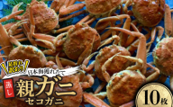 ＜先行予約＞＜蒸し＞訳あり足折れ日本海産親ガニ(セコガニ)　10枚　※11月中旬から順次発送【1596419】