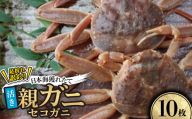 ＜先行予約＞＜活き＞訳あり足折れ日本海産親ガニ(セコガニ)　10枚　※11月中旬から順次発送【1596421】