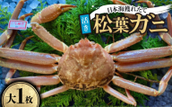 ＜先行予約＞＜活き＞タグ付き松葉ガニ　大1枚(800～940g前後)　※11月中旬から順次発送【1596430】