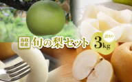 ＜訳あり＞鳥取県産旬の梨 3kg【1597636】