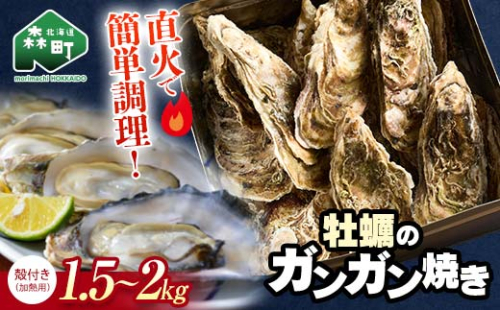北海道森町 噴火湾産 海の恵みカキのガンガン焼き 殻付きカキ(加熱用) 1.5kg～2kg ＜ワイエスフーズ＞ 森町 かき 牡蠣 海産物 魚貝類 ふるさと納税 北海道 mr1-1374 2594417 - 北海道森町
