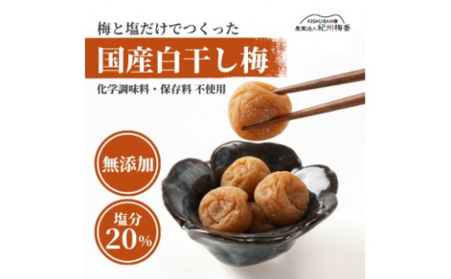 無添加 塩だけ 昔ながらの梅干し 南高梅 紀州梅香 完熟 白干し梅 訳あり つぶれ梅1kg （500gパック×2個） 塩分20% 20-G ［KU14］ 2594593 - 和歌山県那智勝浦町