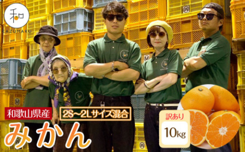 訳あり 森本農園の手選別 みかん 約10kg 和歌山県産 2S～2Lサイズ混合 ［北海道・沖縄・離島配送不可］［RN43］［2026年11月上旬から順次発送］ 2594603 - 和歌山県上富田町