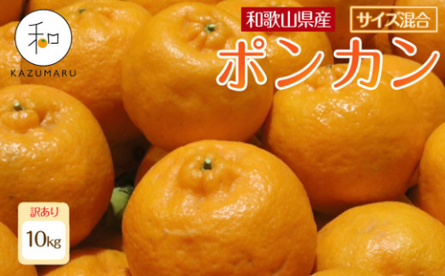 訳あり 森本農園の手選別 ポンカン 約10kg 和歌山県産 サイズ混合 ［北海道・沖縄・離島配送不可］［RN45］［2027年1月上旬から順次発送］ 2594604 - 和歌山県上富田町