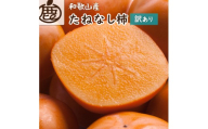 ［先行予約］家庭用 たねなし柿 約5kg［訳あり］［刀根早生・平核無柿（ひらたねなしかき）］［カキ・種無柿・種無し柿・種なし柿・無核柿］［IKE319］