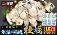 [遅配] 宮城県産 かき 氷温熟成 牡蠣 生食用(冷凍)170g × 6袋 約 1kg 生食 牡蠣むき身 小分け むき身 むき牡蠣 カキ オイスター 濃厚 冷凍かき 宮城 小分け 冷凍 バラバラ冷凍 冷凍カキ かき 牡蠣 1キロ 海鮮 魚介 貝類 海の幸 BBQ 家庭用 まるたか水産 宮城県 石巻市 宮城 石巻