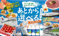 あとからセレクト 【 ふるさとギフト 】 8,000,000円分｜ あとから選べる ギフト ポイント 専用サイト 交換 駆け込み ｜ 特産品 アイリスオーヤマ シモンズ サーモン 牛肉 ギフト券 チケット ゴルフ あとからギフト あとから 静岡県 小山町