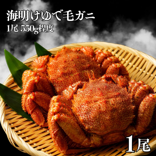 24-144 海明けゆで毛ガ二1尾(550g程度) 2594937 - 北海道紋別市