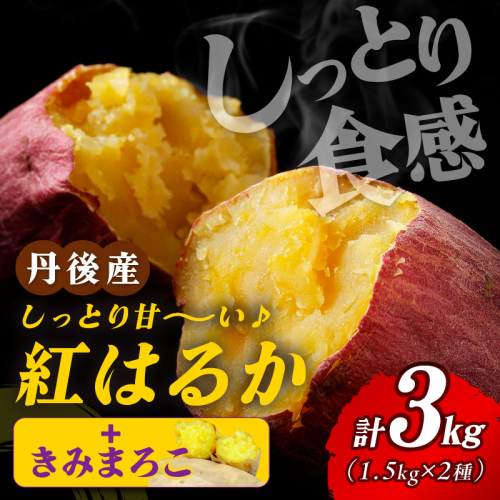 【食べ比べ】紅白 きみまろこと紅はるかのさつまいもセット 3kg 2027年3月上旬～配送　紅はるか きみまろこ 食べ比べ 品種 お野菜 野菜 正規品 ふるさと納税 さつまいも ふるさと納税 紅はるか べにはるか 甘い
 2594943 - 京都府京丹後市