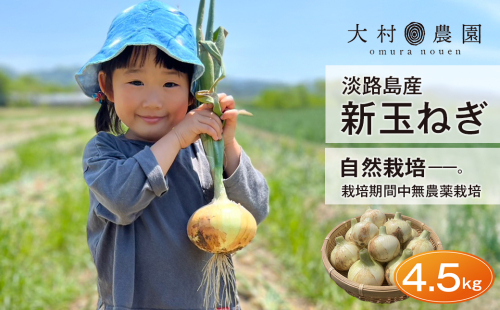 新玉ねぎ 自然栽培 4.5kg （栽培期間中無農薬栽培） 2595111 - 兵庫県淡路市