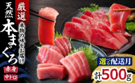 本物の味をお届け！厳選！天然本鮪 中トロ・赤身セット【7月お届け】　M005-021-07