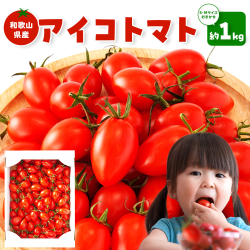［2026年5月出荷分］和歌山産ミニトマト「アイコトマト」約1kg（S・Mサイズおまかせ）［TM232］ 2595296 - 和歌山県上富田町