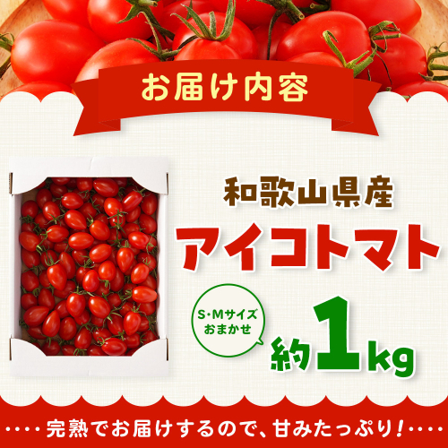 ［2026年5月出荷分］和歌山産ミニトマト「アイコトマト」約1kg（S・Mサイズおまかせ）［TM232］