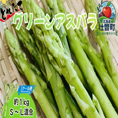 <4月より順次配送>グリーンアスパラ 約1kg(S-L混合) 北海道壮瞥町産 【アスパラガス 野菜 やさい 産地直送 春 春芽 採れたて 朝採り 新鮮 旬 冷蔵 送料無料】SBTO016 2595369 - 北海道壮瞥町