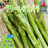 <4月より順次配送>グリーンアスパラ 約1kg(S-L混合) 北海道壮瞥町産 【アスパラガス 野菜 やさい 産地直送 春 春芽 採れたて 朝採り 新鮮 旬 冷蔵 送料無料】SBTO016