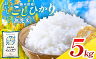 【栃木県共通返礼品】【先行予約】【令和8年度産】 訳あり 栃木県産 コシヒカリ  無洗米 5kg | 定期便 選べる ふるさと 納税 コシヒカリ とちぎの星 お米 精米 無洗米 ごはん ご飯 主食 日本米 kome 栃木県 共通返礼品 那珂川町 送料無料
