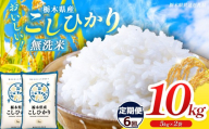 【栃木県共通返礼品】【令和8年度産】【定期6回】 訳あり 栃木県産コシヒカリ  無洗米 5kg×2 10kg | 定期便 選べる ふるさと 納税 コシヒカリ とちぎの星 お米 精米 無洗米 ごはん ご飯 主食 日本米 kome 栃木県 共通返礼品 那珂川町 送料無料