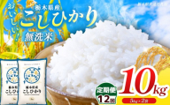 【栃木県共通返礼品】【令和8年度産】【定期12回】 訳あり 栃木県産コシヒカリ  無洗米 5kg×2 10kg | 定期便 選べる ふるさと 納税 コシヒカリ とちぎの星 お米 精米 無洗米 ごはん ご飯 主食 日本米 kome 栃木県 共通返礼品 那珂川町 送料無料