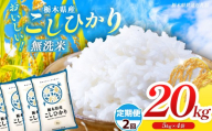 【栃木県共通返礼品】【先行予約】【令和8年度産】【定期2回】訳あり 栃木県産コシヒカリ  無洗米 5kg×4 20kg | 定期便 選べる ふるさと 納税 コシヒカリ とちぎの星 お米 精米 無洗米 ごはん ご飯 主食 日本米 kome 栃木県 共通返礼品 那珂川町 送料無料