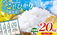 【栃木県共通返礼品】【先行予約】【令和8年度産】【定期3回】訳あり 栃木県産コシヒカリ  無洗米 5kg×4 20kg | 定期便 選べる ふるさと 納税 コシヒカリ とちぎの星 お米 精米 無洗米 ごはん ご飯 主食 日本米 kome 栃木県 共通返礼品 那珂川町 送料無料