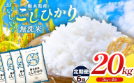 【栃木県共通返礼品】【先行予約】【令和8年度産】【定期6回】訳あり 栃木県産コシヒカリ  無洗米 5kg×4 20kg | 定期便 選べる ふるさと 納税 コシヒカリ とちぎの星 お米 精米 無洗米 ごはん ご飯 主食 日本米 kome 栃木県 共通返礼品 那珂川町 送料無料