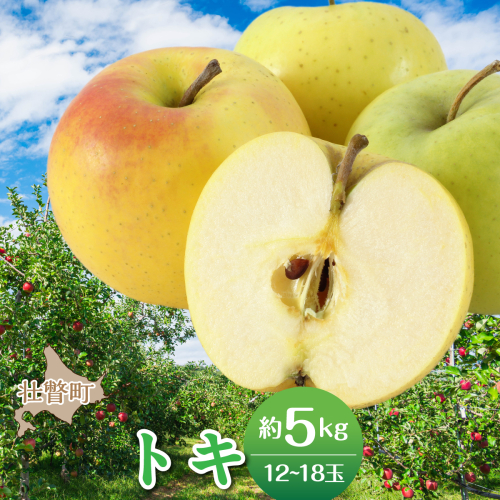 【先行予約】＜2026年10月中旬よりお届け＞北海道壮瞥町　りんご　品種名「トキ」12～18玉約5kg SBTF017 2595670 - 北海道壮瞥町