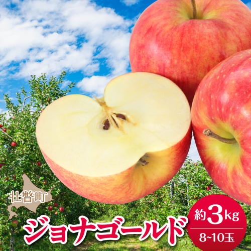 【先行予約】＜2026年10月下旬よりお届け＞北海道壮瞥町　りんご　品種名「ジョナゴールド」8～10玉約3kg SBTF018 2595671 - 北海道壮瞥町