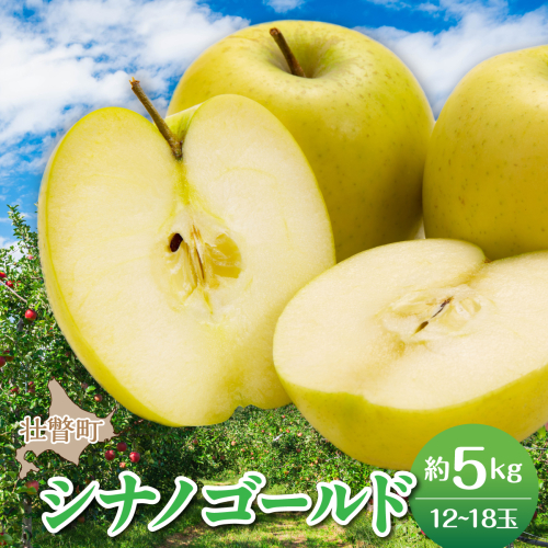 【先行予約】＜2026年11月上旬よりお届け＞北海道壮瞥町　りんご　品種名「シナノゴールド」8～10玉約5kg SBTF021 2595674 - 北海道壮瞥町