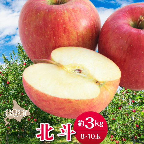 【先行予約】＜2026年11月中旬よりお届け＞北海道壮瞥町　りんご　品種名「北斗」8～10玉約3kg SBTF022 2595675 - 北海道壮瞥町