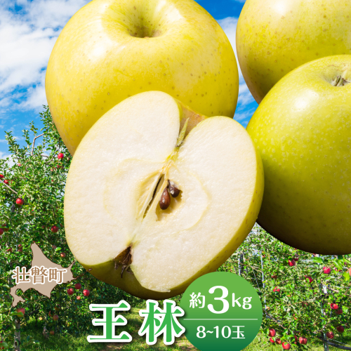 【先行予約】＜2026年11月中旬よりお届け＞北海道壮瞥町　りんご　品種名「王林」8～10玉約3kg SBTF024 2595676 - 北海道壮瞥町