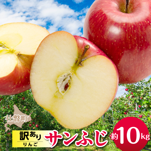 【先行予約】＜2026年12月上旬よりお届け＞北海道壮瞥町　訳ありりんご　品種名「サンふじ」約10kg SBTF030 2595678 - 北海道壮瞥町