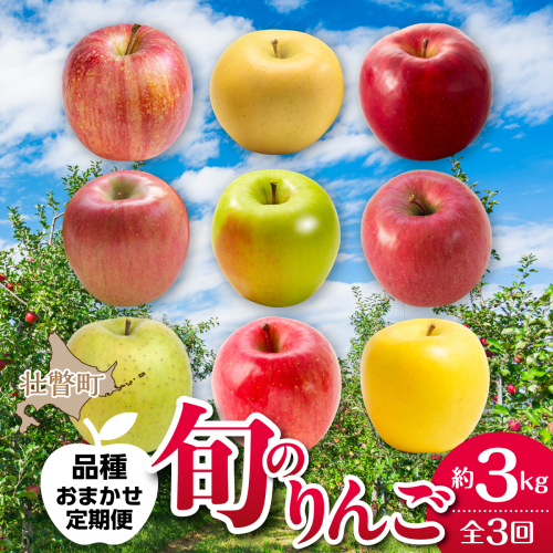 【先行予約】＜10・11・12月お届け＞北海道壮瞥町　旬のりんご約3kg　おまかせ定期便 SBTF031 2595679 - 北海道壮瞥町