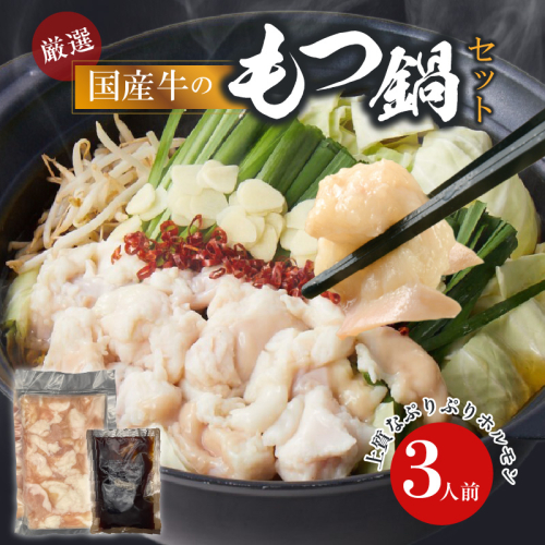 【食肉総合卸 丸正】厳選国産牛のもつ鍋セット（3人前）［153M16］ 2596053 - 愛知県小牧市