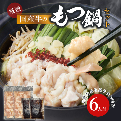 【食肉総合卸 丸正】厳選国産牛のもつ鍋セット（6人前）［153M17］ 2596054 - 愛知県小牧市