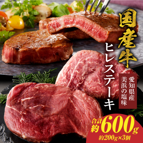 【食肉総合卸 丸正】国産牛ヒレステーキ 600ｇ 愛知県産美浜の塩味［153M18］ 2596055 - 愛知県小牧市