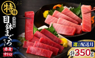 湊魚問屋 特特セット！【7月お届け】　M005-042-07