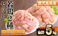 鹿児島県産若鶏もも・ムネセット(合計5kg・各250g×10P) 若鶏 切身 冷凍【株式会社羽根】 A1100