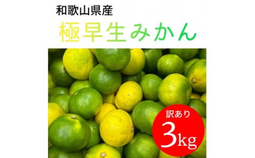 家庭用 和歌山県産 極早生みかん 3kg 2596535 - 和歌山県有田川町