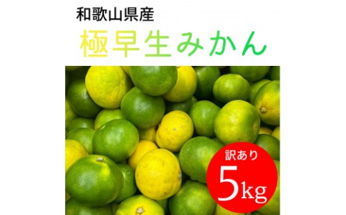 家庭用 和歌山県産 極早生みかん 5kg 2596536 - 和歌山県有田川町