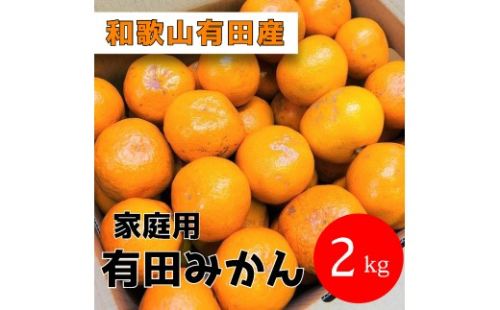 家庭用 有田みかん 2kg (約18個～20個) 2596543 - 和歌山県有田川町