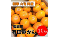 家庭用 有田みかん 10kg (約89個～95個)