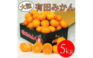 大粒有田みかん 5kg (約35個～40個)