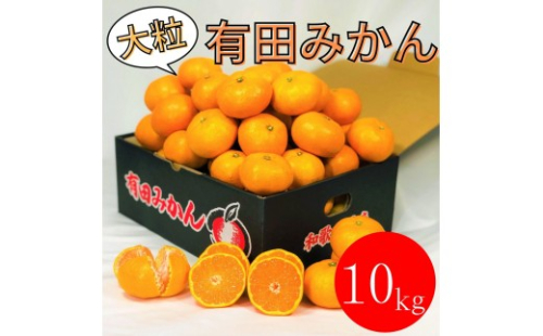 大粒有田みかん 10kg (約70個～76個) 2596551 - 和歌山県有田川町