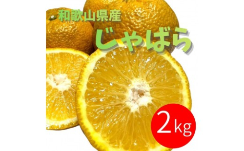 じゃばら 2kg (11～18玉) 2596558 - 和歌山県有田川町