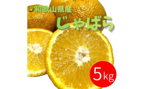 じゃばら 5kg (28～44玉) 2596560 - 和歌山県有田川町