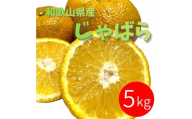 じゃばら 5kg (28～44玉)