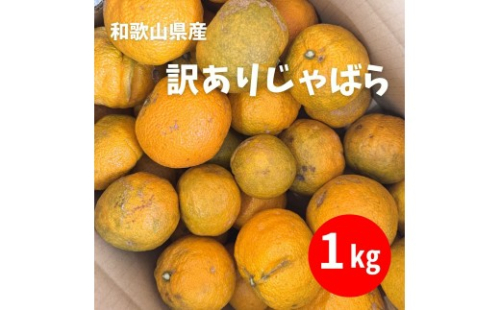 訳あり じゃばら 1kg (6～9玉) 2596562 - 和歌山県有田川町