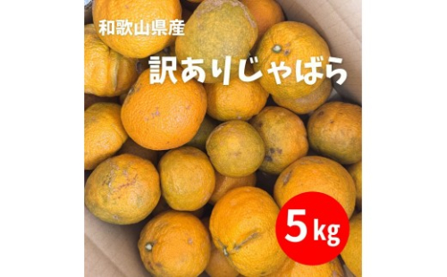 訳あり じゃばら 5kg (28～44玉) 2596565 - 和歌山県有田川町